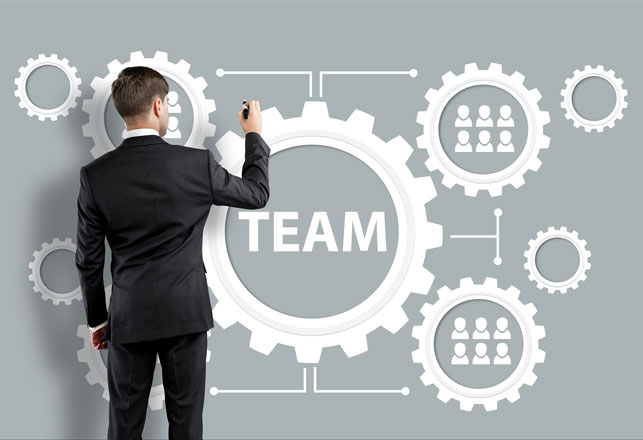 Our Team